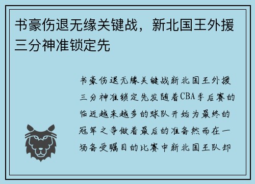 书豪伤退无缘关键战，新北国王外援三分神准锁定先