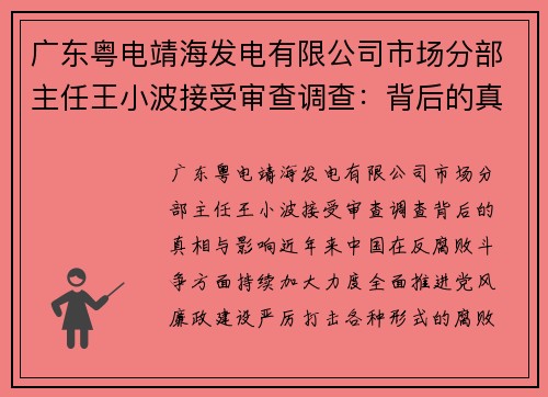 广东粤电靖海发电有限公司市场分部主任王小波接受审查调查：背后的真相与影响