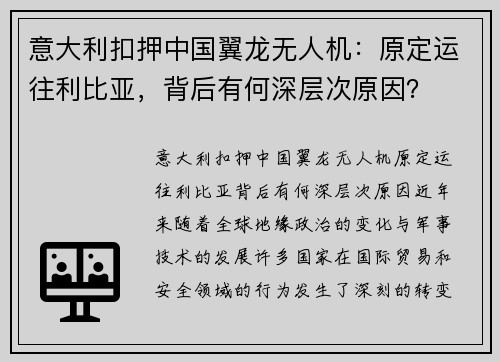 意大利扣押中国翼龙无人机：原定运往利比亚，背后有何深层次原因？