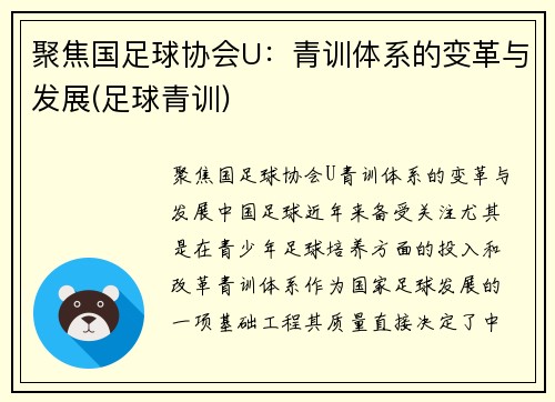 聚焦国足球协会U：青训体系的变革与发展(足球青训)