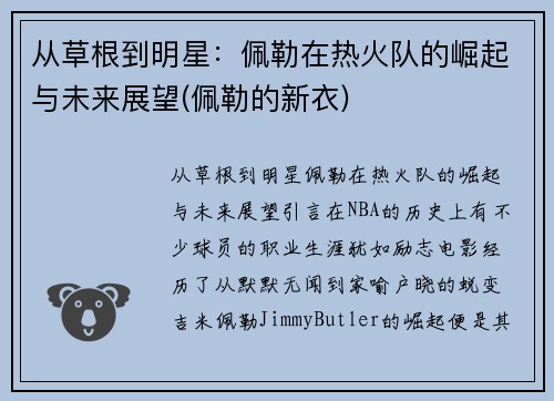 从草根到明星：佩勒在热火队的崛起与未来展望(佩勒的新衣)